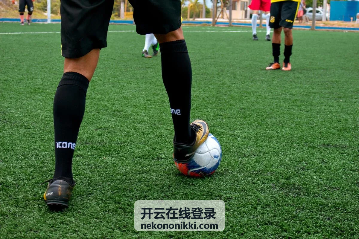 管理员在开云在线登录中分配数据权限的示意图